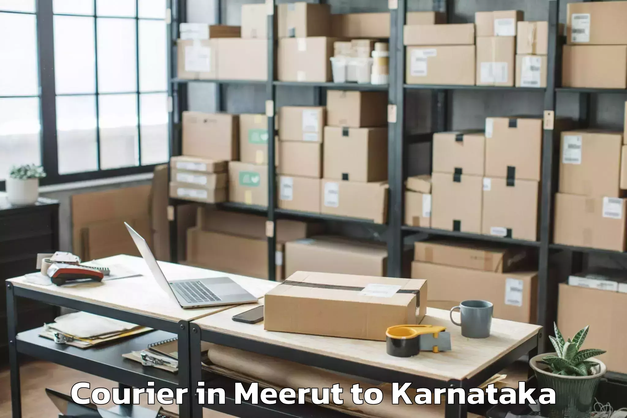 Book Meerut to Munavalli Courier